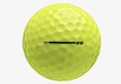 Bridgestone E6 Golf Balls Yellow 1 Dozen - Brand New 9 Bridgestone E6 Golf Balls Yellow 1 Dozen - Brand New -Golf Master Sales Store IMG 4065 Copy