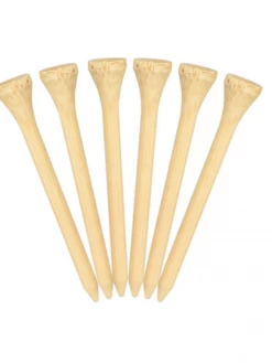 Green Tee - Bamboo 2 3/4 Natural Tees 40 Pack -Golf Master Sales Store IMG 9574